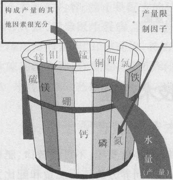 二、最小養(yǎng)分定律